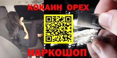 стаф Будённовск